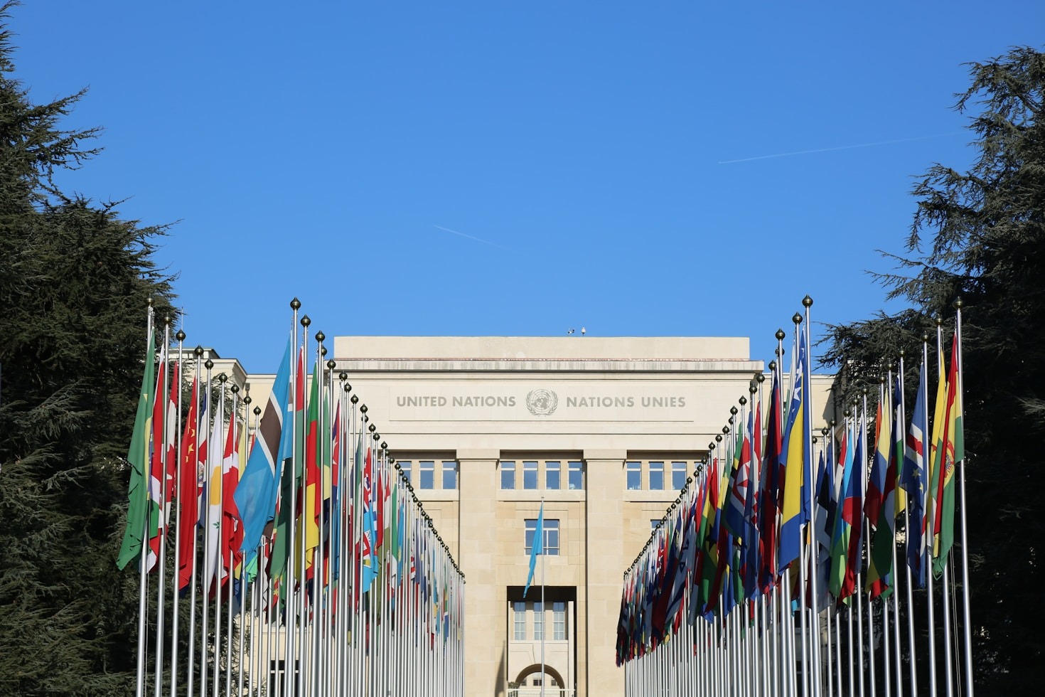 International Law Perspectives on UN Membership